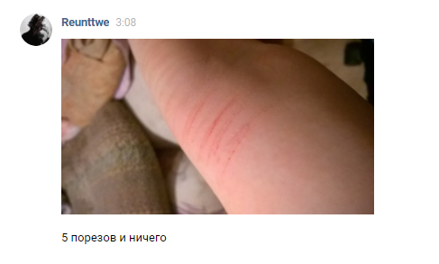 Screenshot_7.png