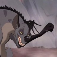Shenzi