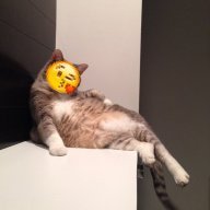 miamure