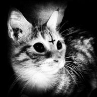 KaterinaCor