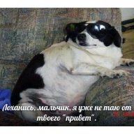 pristersha