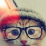 Follow