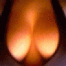 Naobuum