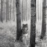 Sansaku4
