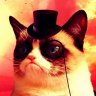 CosmoCat