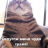 NikTime