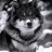 Pedobear