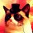 CosmoCat