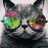 Cosmical