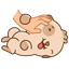 :1494:
